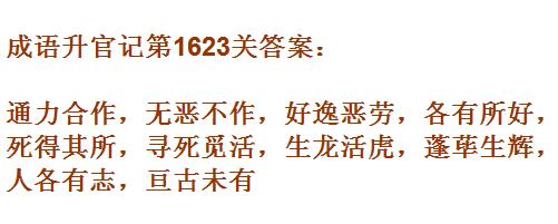 ټޱǾ1623ش_СŴ𰸴ȫ